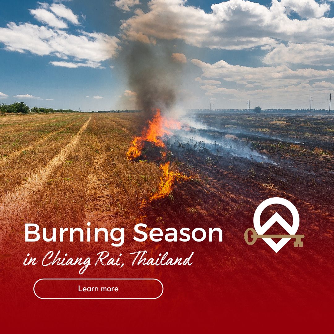 Chiang Rai Burning Season: Impact on Air Quality, Travel Tips, and Cultural Insights